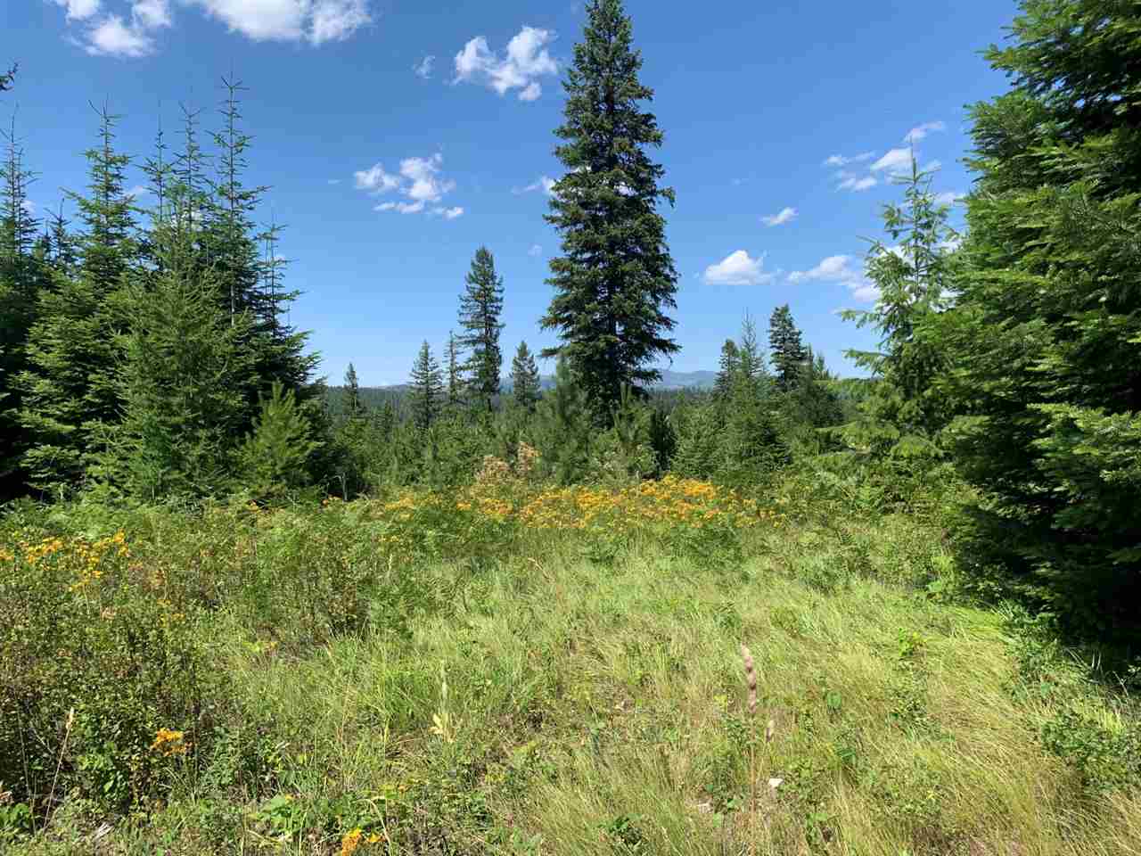 5099 Allen Road, Unit LOT 8 Springdale, WA 99173 - Photo 1 of 14
