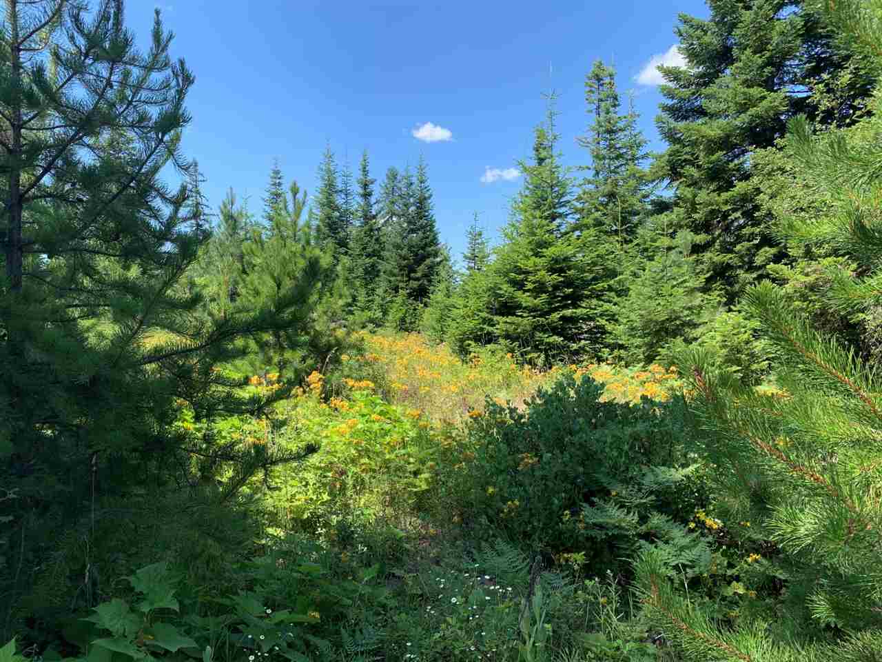 5099 Allen Road, Unit LOT 8 Springdale, WA 99173 - Photo 2 of 14