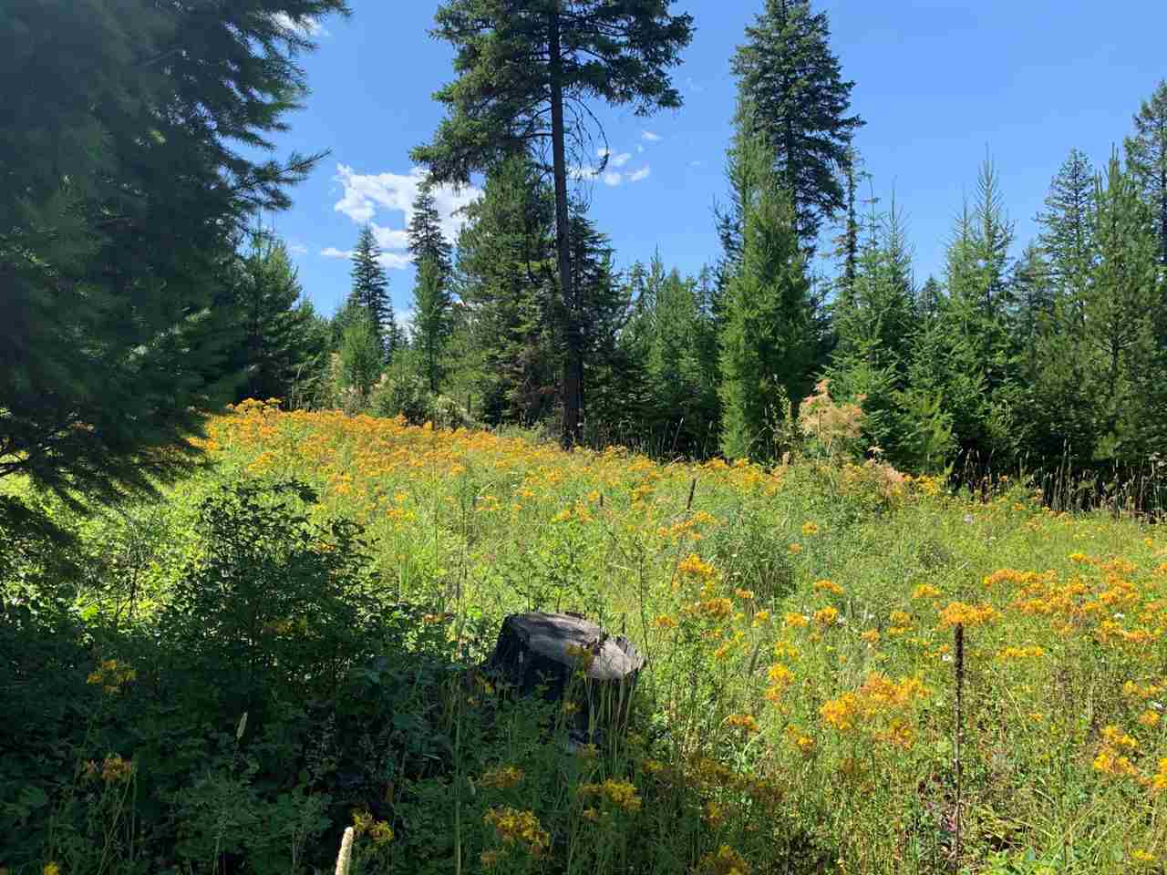 5099 Allen Road, Unit LOT 8 Springdale, WA 99173 - Photo 11 of 14