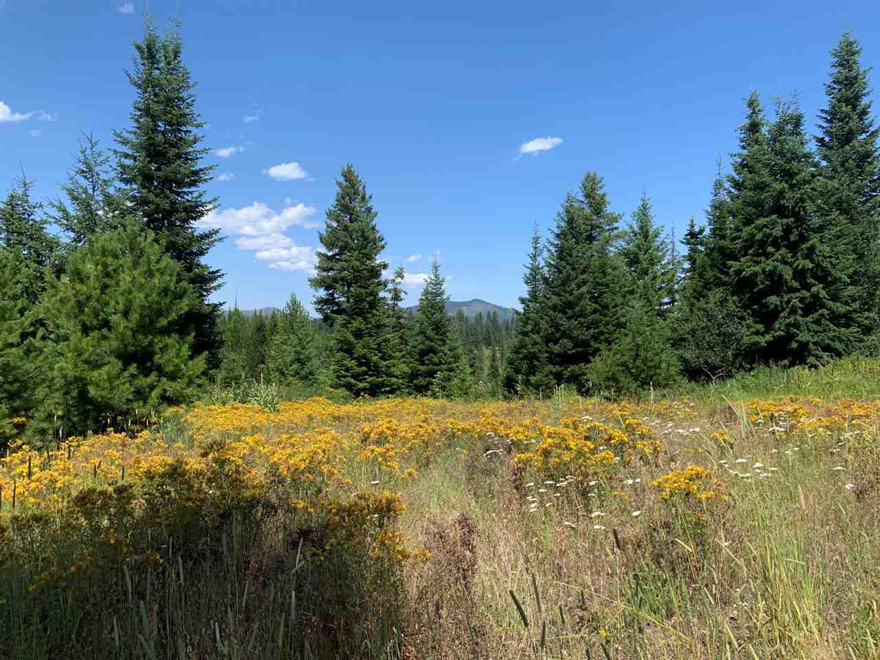5099 Allen Road, Unit LOT 8 Springdale, WA 99173 - Photo 12 of 14