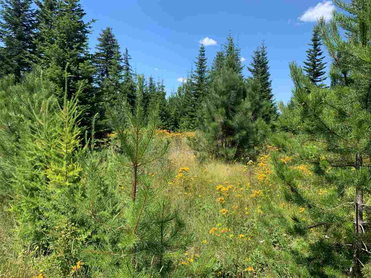5099 Allen Road, Unit LOT 8 Springdale, WA 99173 - Photo 3 of 14