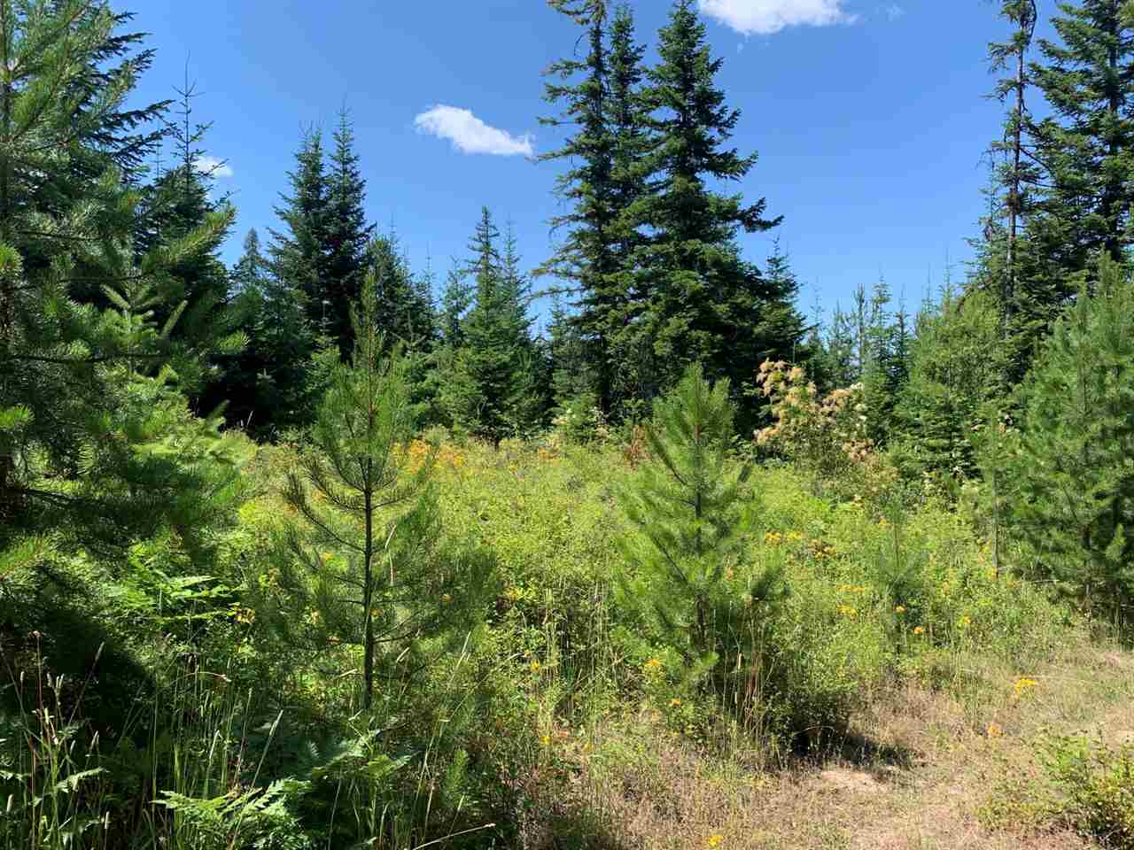 5099 Allen Road, Unit LOT 8 Springdale, WA 99173 - Photo 4 of 14