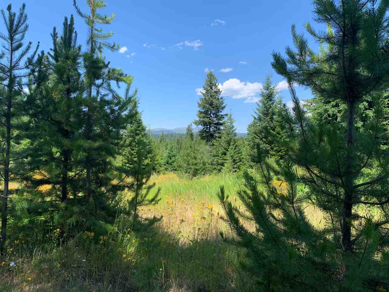 5099 Allen Road, Unit LOT 8 Springdale, WA 99173 - Photo 5 of 14