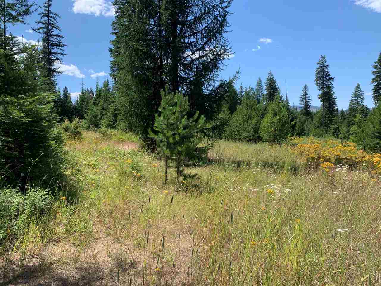5099 Allen Road, Unit LOT 8 Springdale, WA 99173 - Photo 6 of 14