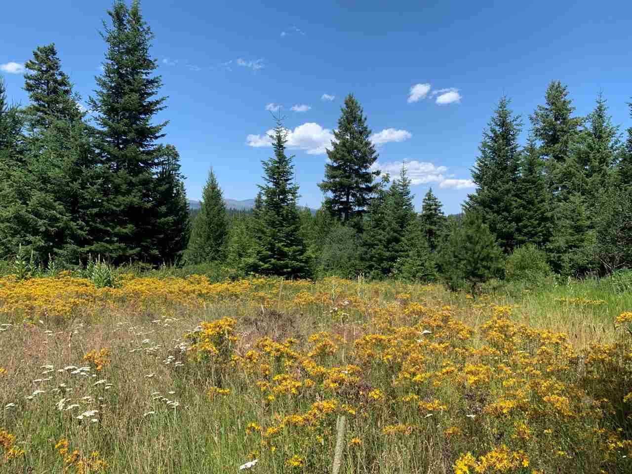 5099 Allen Road, Unit LOT 8 Springdale, WA 99173 - Photo 7 of 14