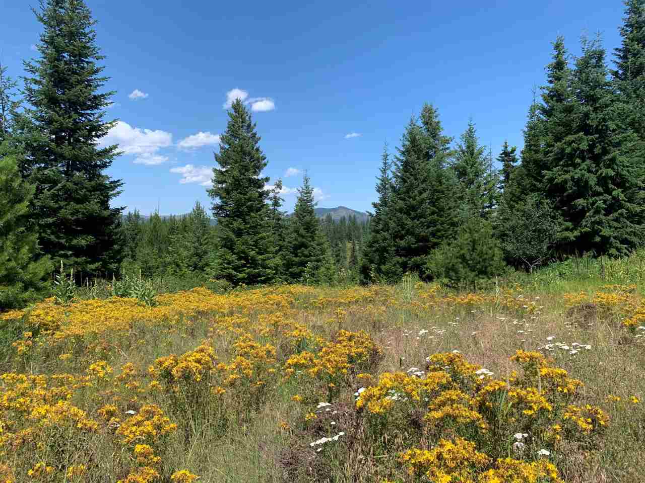 5099 Allen Road, Unit LOT 8 Springdale, WA 99173 - Photo 8 of 14