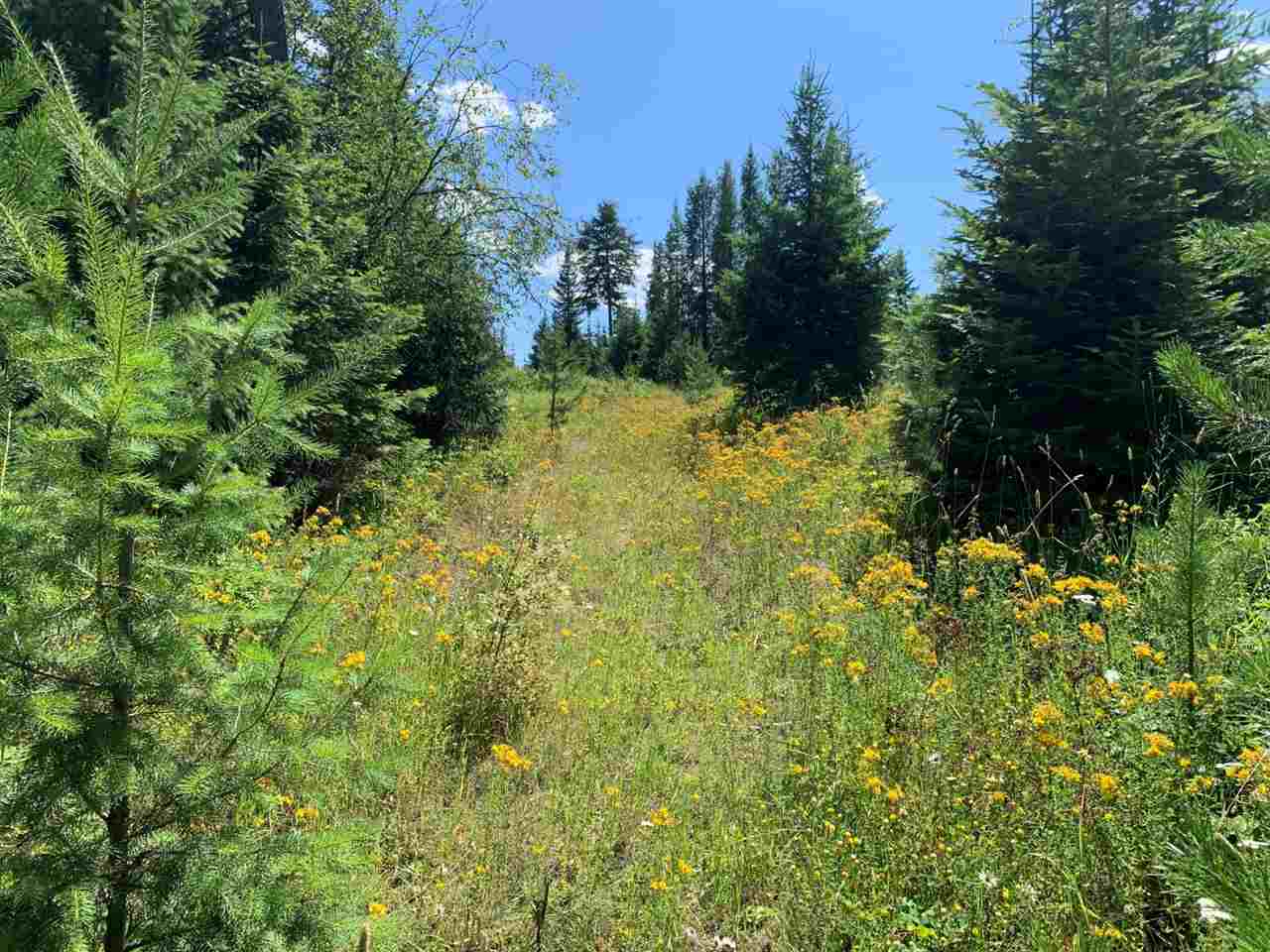 5099 Allen Road, Unit LOT 8 Springdale, WA 99173 - Photo 10 of 14