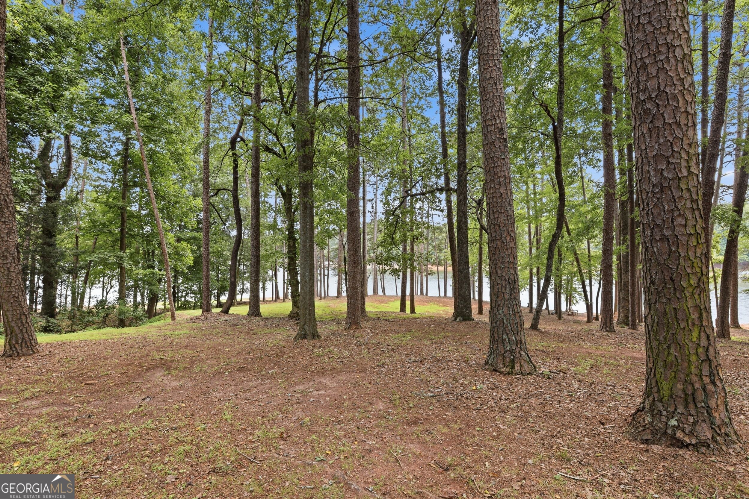 675 Currahee Ridge Road Toccoa, GA 30577 - Photo 72 of 84 Gallery Image 72