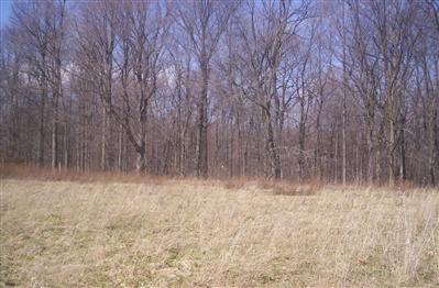 3191 Reed Road Buchanan, MI 49107 - Photo 7 of 8 Additional Photo