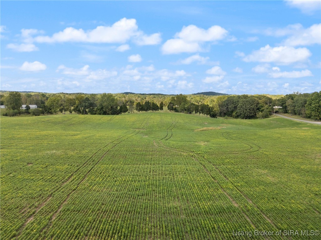 Shiloh Road Southwest Corydon, IN 47112 - Photo 18 of 23
