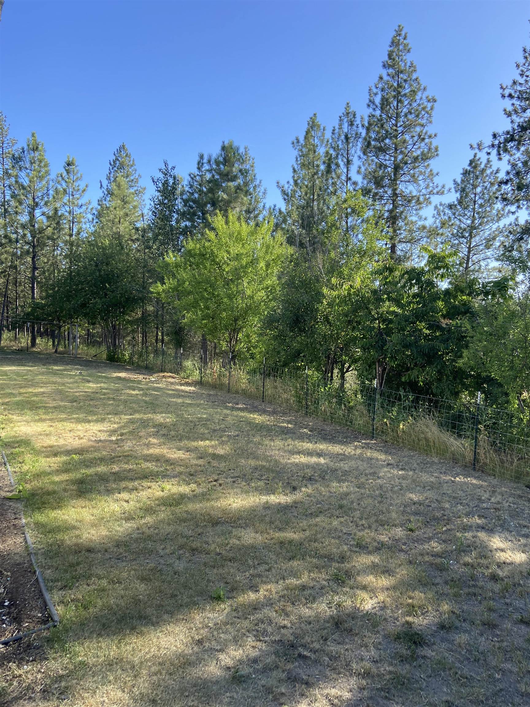 4878 Rail Canyon Road Springdale, WA 99173 - Photo 25 of 46
