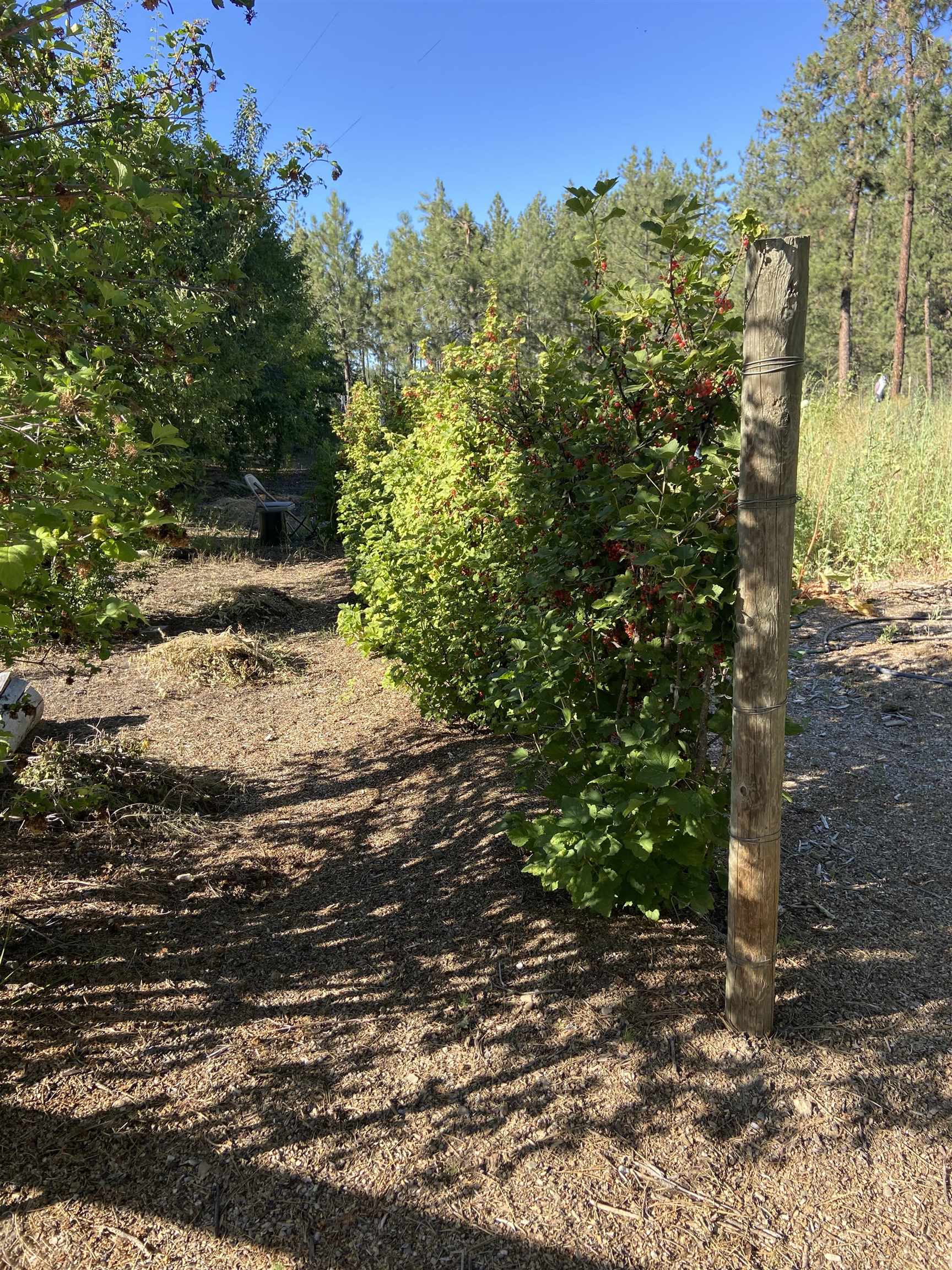 4878 Rail Canyon Road Springdale, WA 99173 - Photo 27 of 46