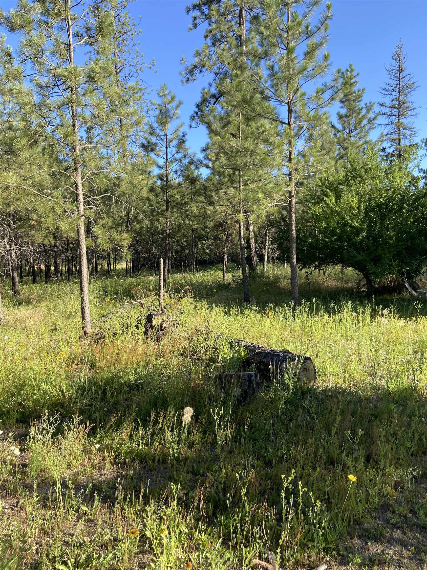 4878 Rail Canyon Road Springdale, WA 99173 - Photo 32 of 46