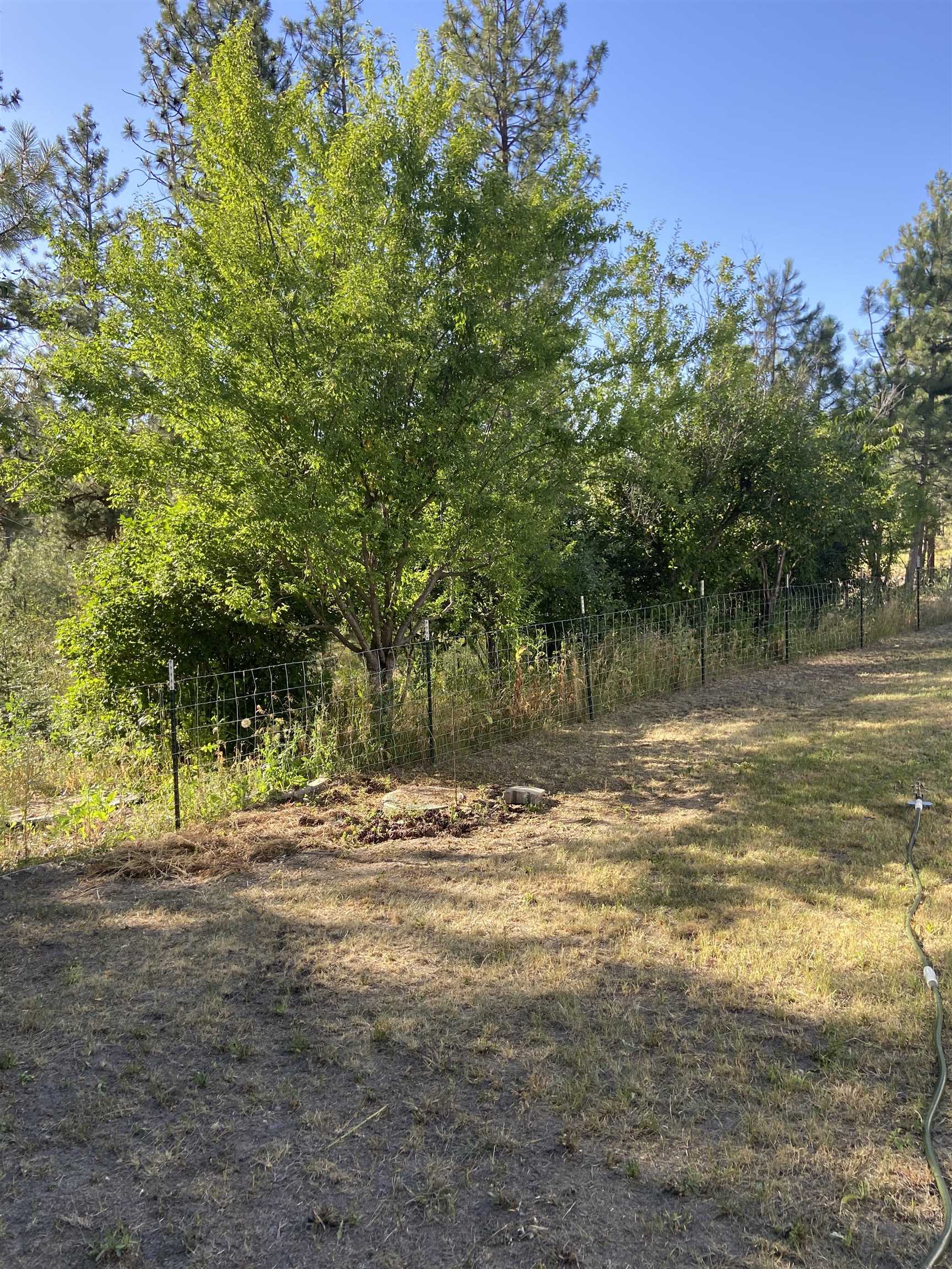 4878 Rail Canyon Road Springdale, WA 99173 - Photo 45 of 46