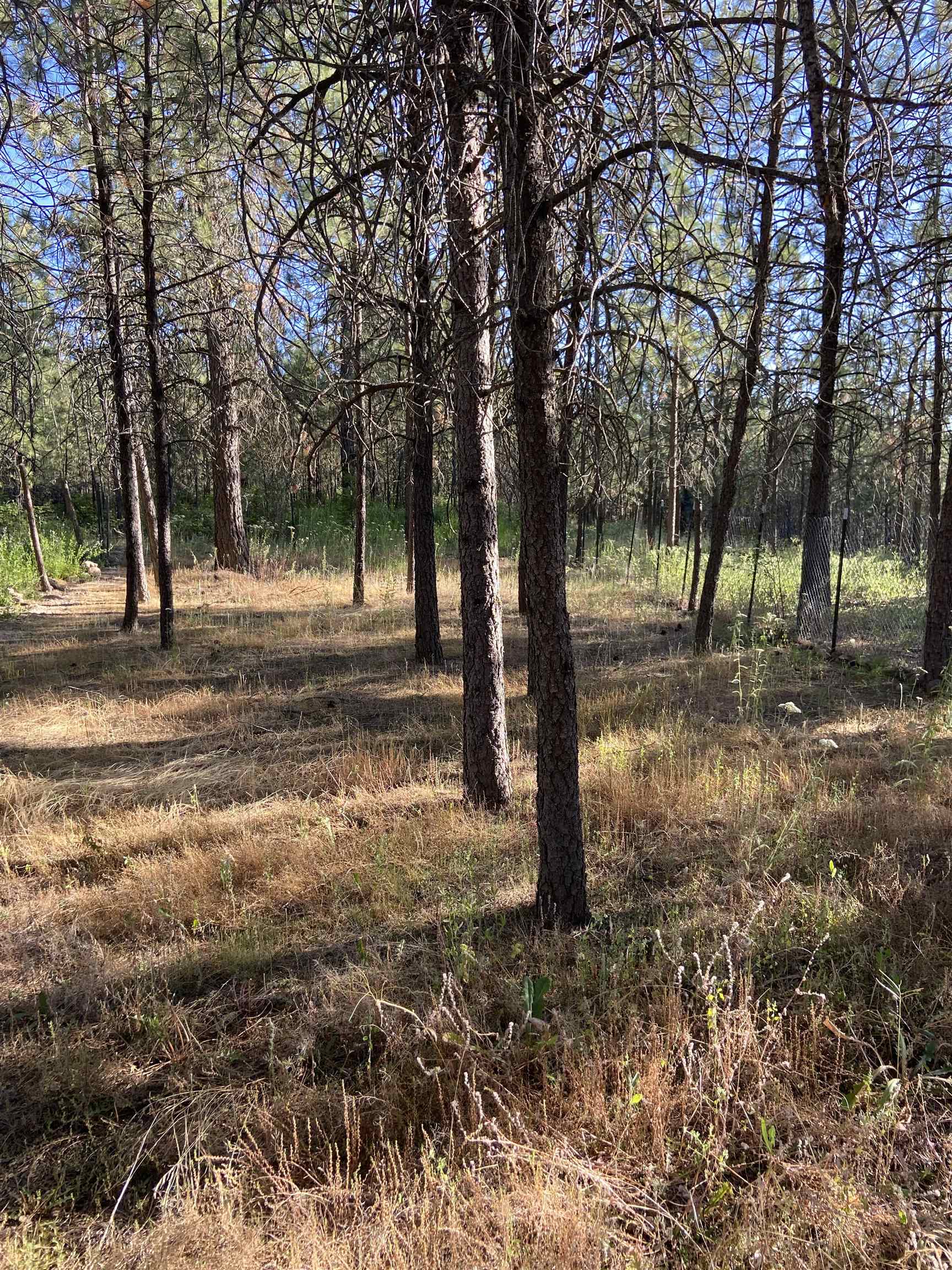 4878 Rail Canyon Road Springdale, WA 99173 - Photo 46 of 46
