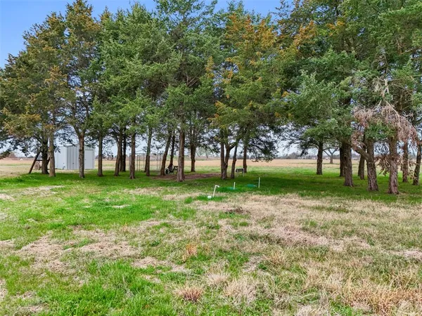a view of green field with trees