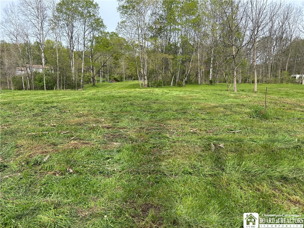 3675 Gerry Levant Road Ellicott, NY 14733 - Photo 7 of 10