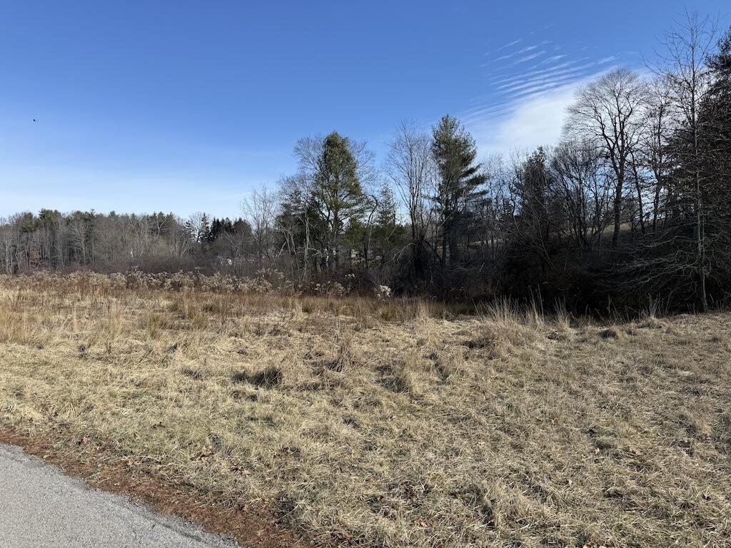 Tbd Wilson Cemetery Road Northeast Check, VA 24072 - Photo 2 of 9 IMG_3851