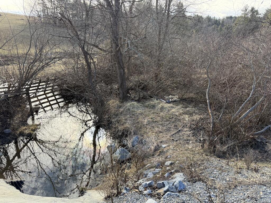 Tbd Wilson Cemetery Road Northeast Check, VA 24072 - Photo 3 of 9 IMG_3845