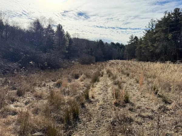 a view of a dry yard covered with snow in the background