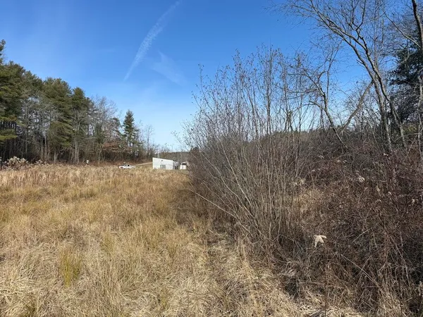 a view of a yard