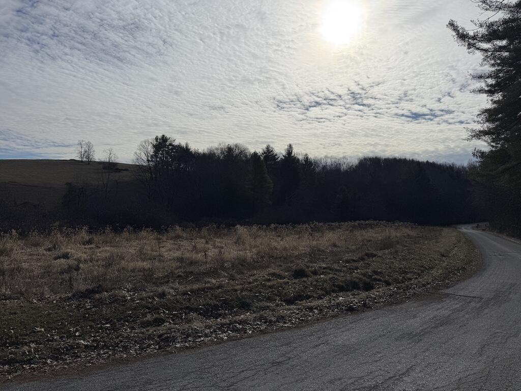 Tbd Wilson Cemetery Road Northeast Check, VA 24072 - Photo 9 of 9 IMG_3844