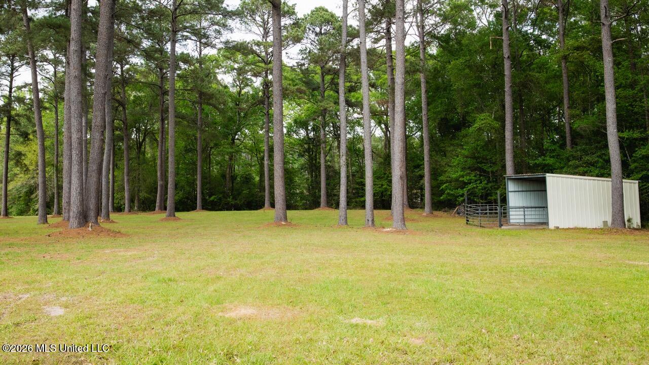 1979 Leman Road Oakdale, LA 71463 - Photo 40 of 44 0R6C9996 Large