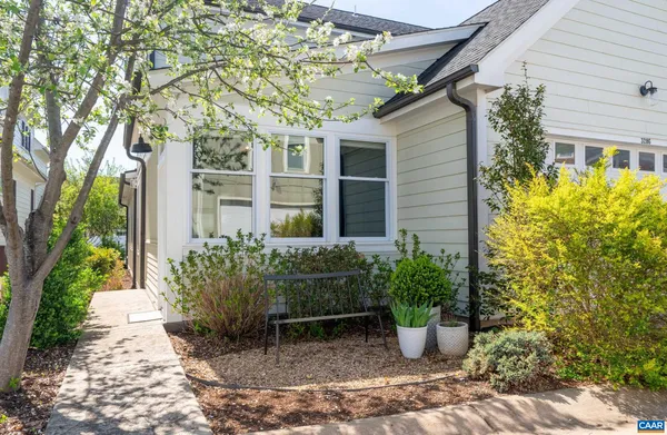 a view of a backyard with plants and large tree