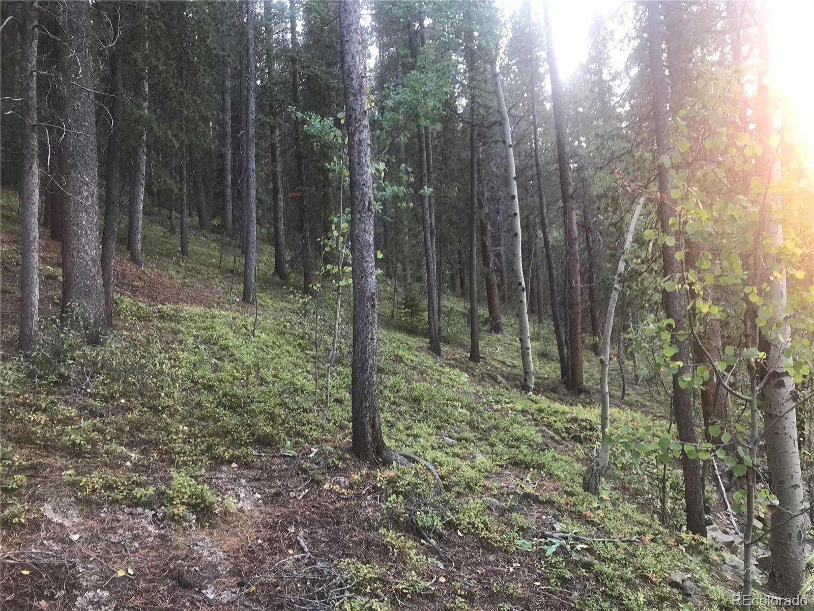 4422 Gamble Gulch Road Black Hawk, CO 80422 - Photo 23 of 38 Gallery Image 23