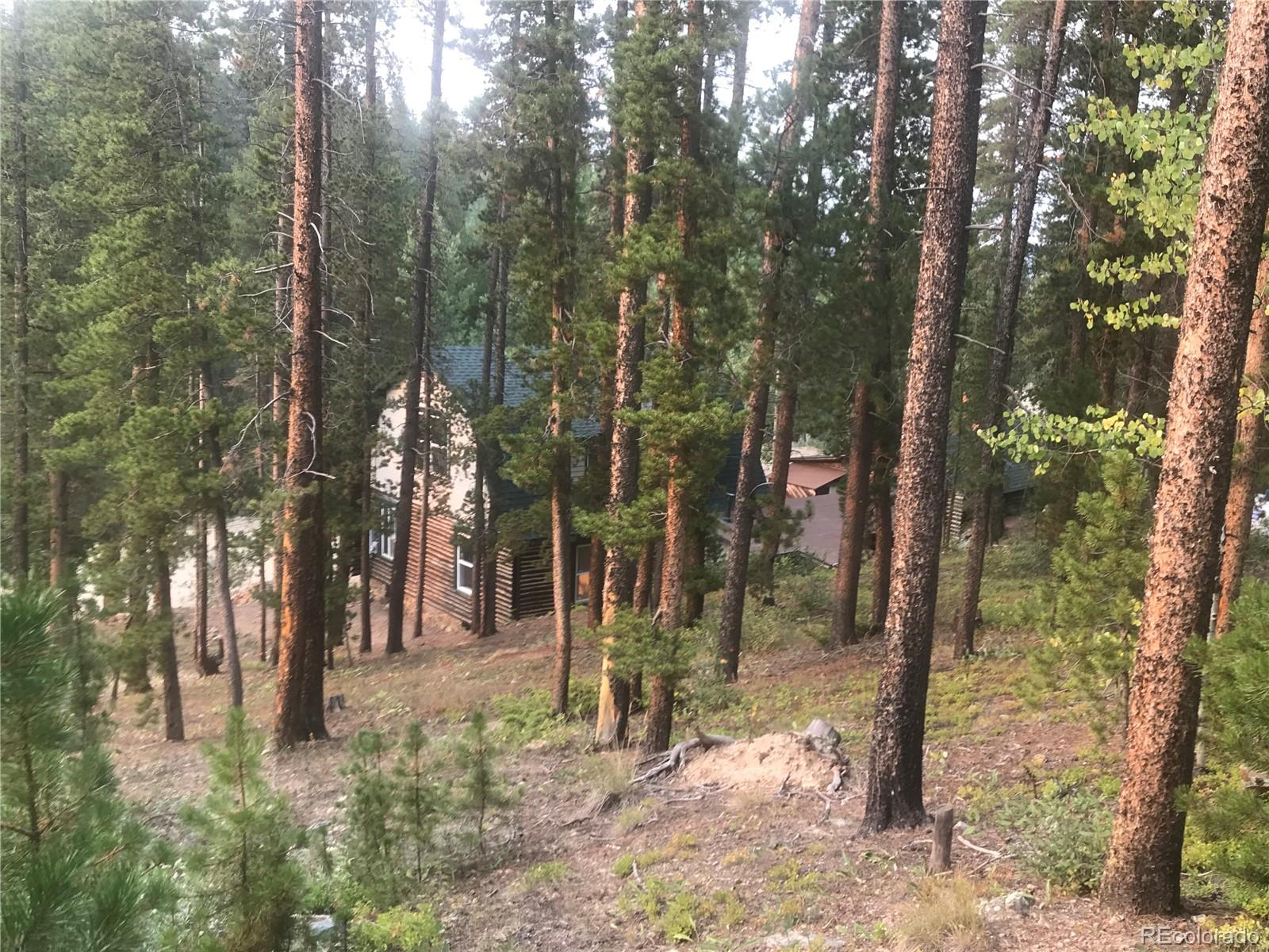 4422 Gamble Gulch Road Black Hawk, CO 80422 - Photo 25 of 38 Gallery Image 25