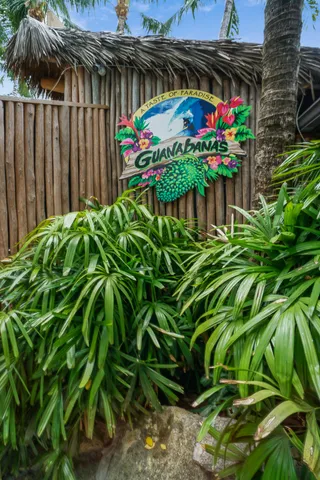 a view of outdoor space with plants