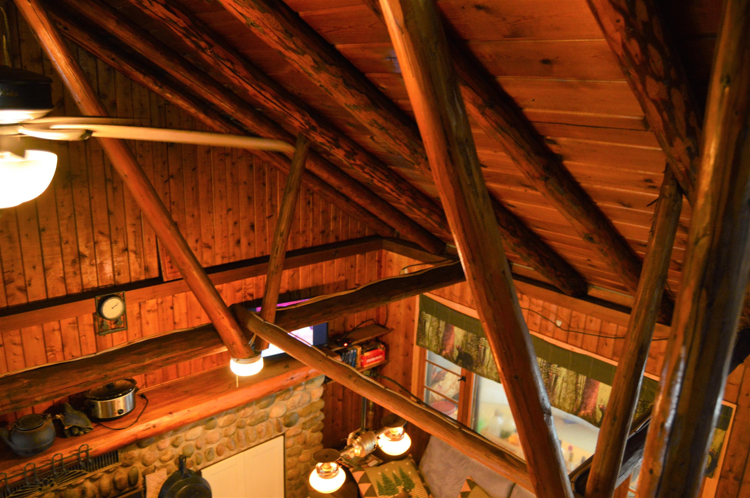 1556 South Magee Road Vanderbilt, MI 49795 - Photo 20 of 22 1897394-19.JPG