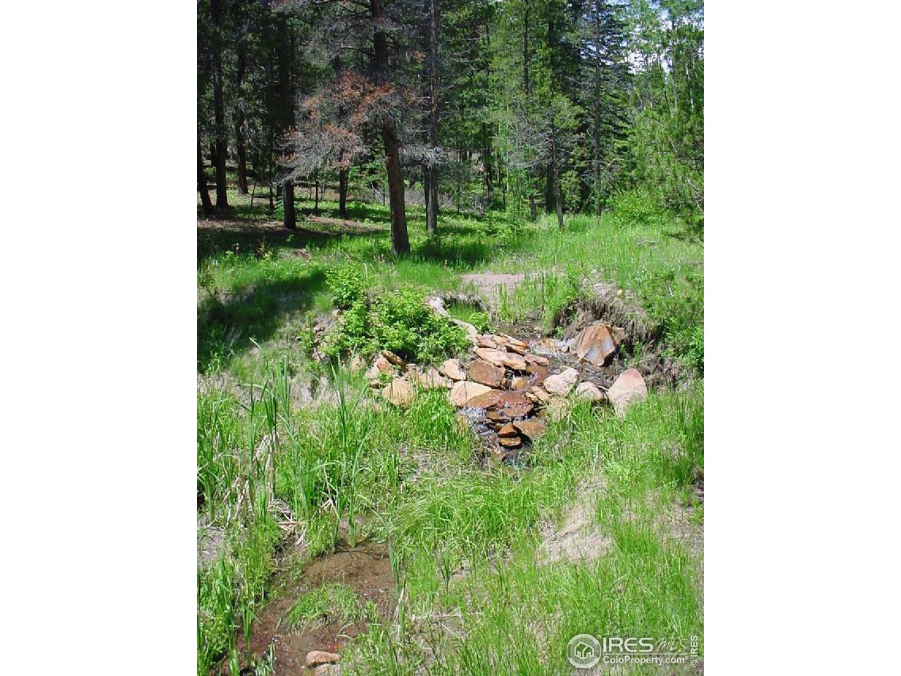 33996 Gap Road Golden, CO 80403 - Photo 3 of 4 Deer Creek!!!!