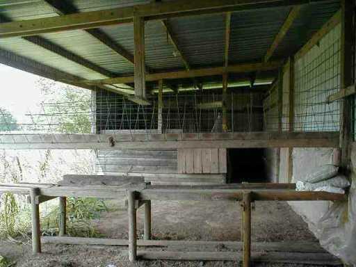 100 Claude Curtis Road Lecompte, LA 71346 - Photo 4 of 9 Gallery Image 4