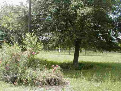100 Claude Curtis Road Lecompte, LA 71346 - Photo 5 of 9 Gallery Image 5