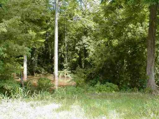 100 Claude Curtis Road Lecompte, LA 71346 - Photo 9 of 9 Gallery Image 9
