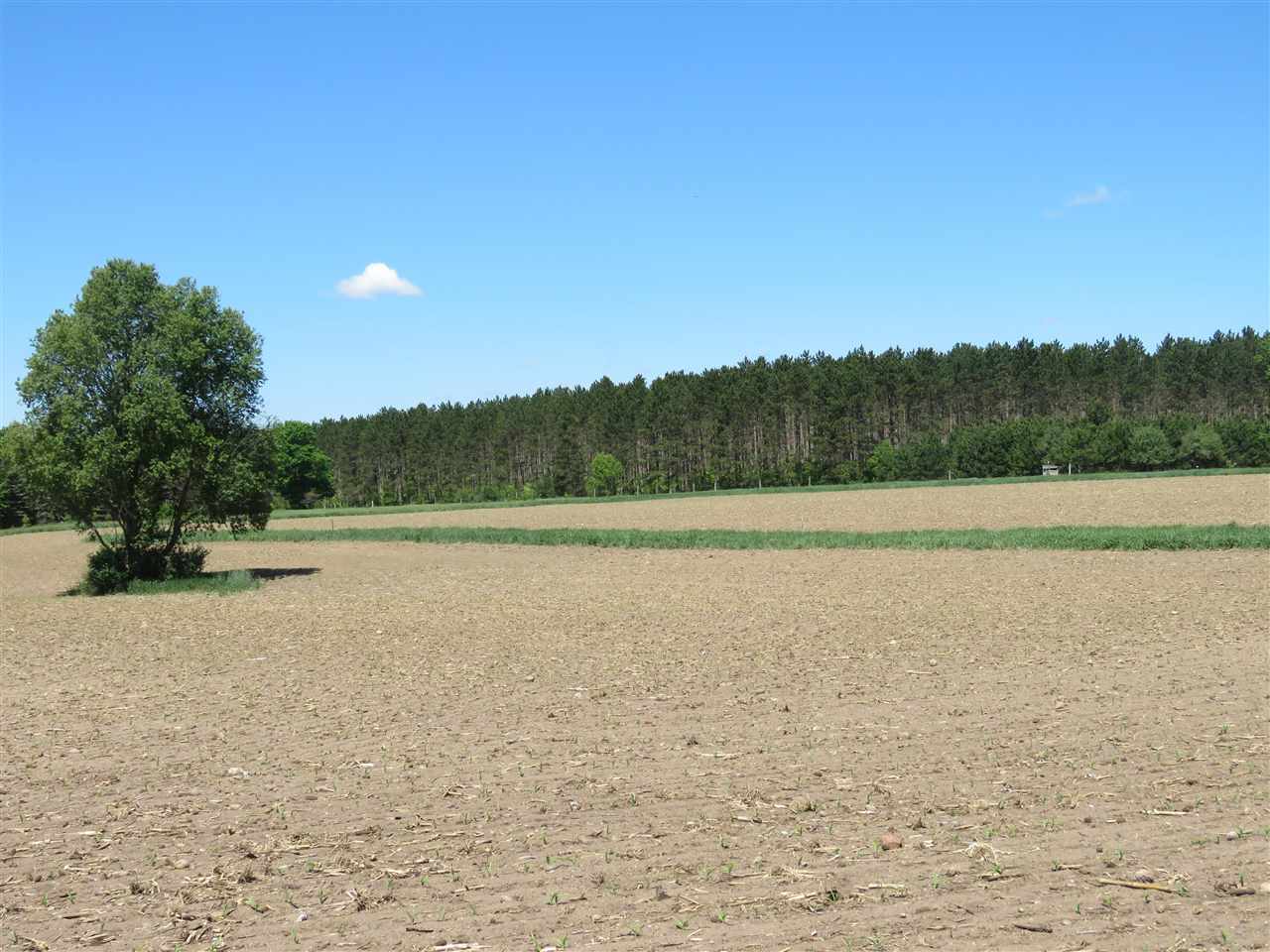 2904 South 7 1/2 Road Harrietta, MI 49638 - Photo 28 of 32 1888300-27.JPG