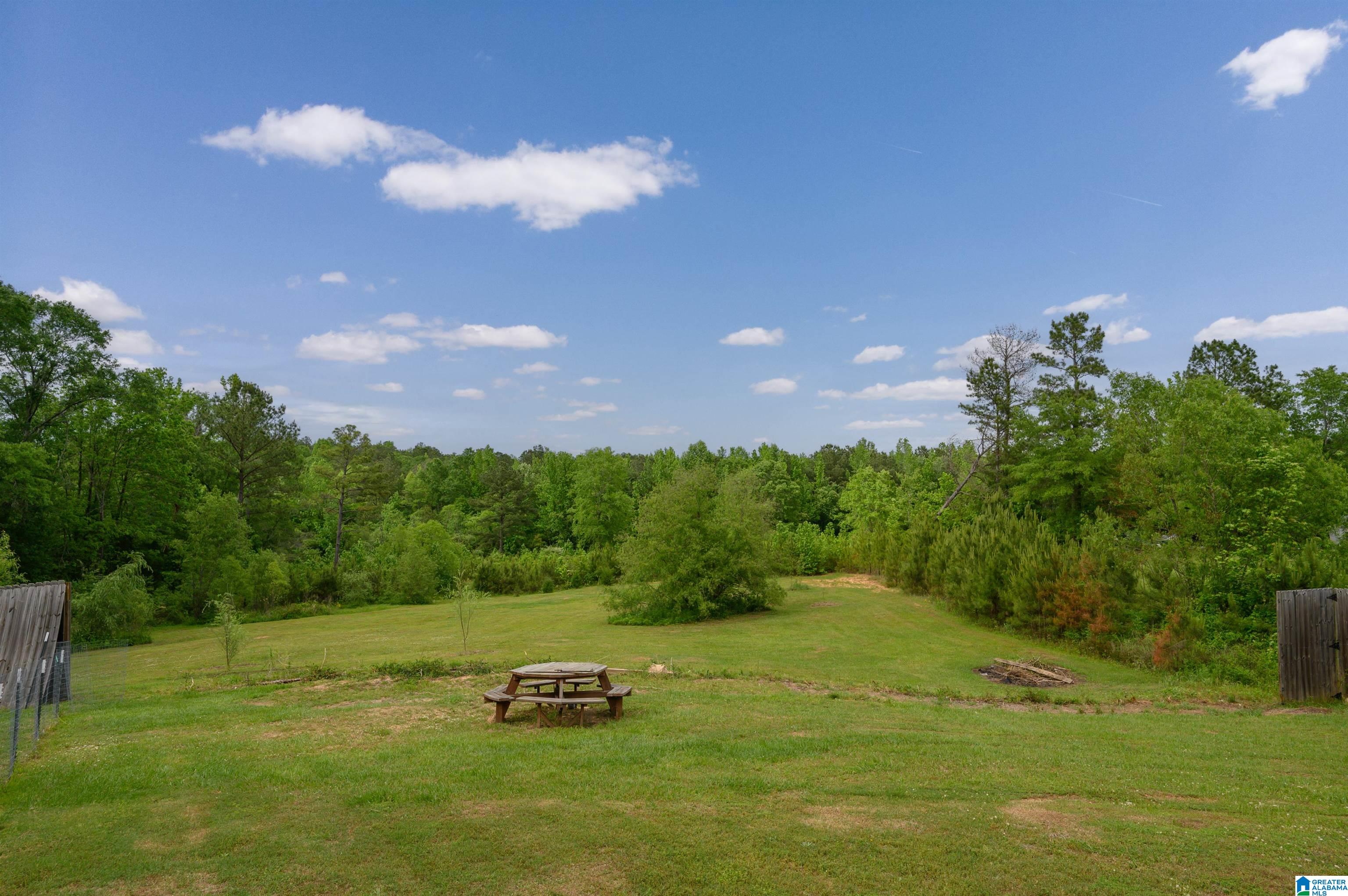 16609 Reed Creek Road Ralph, AL 35480 - Photo 45 of 48