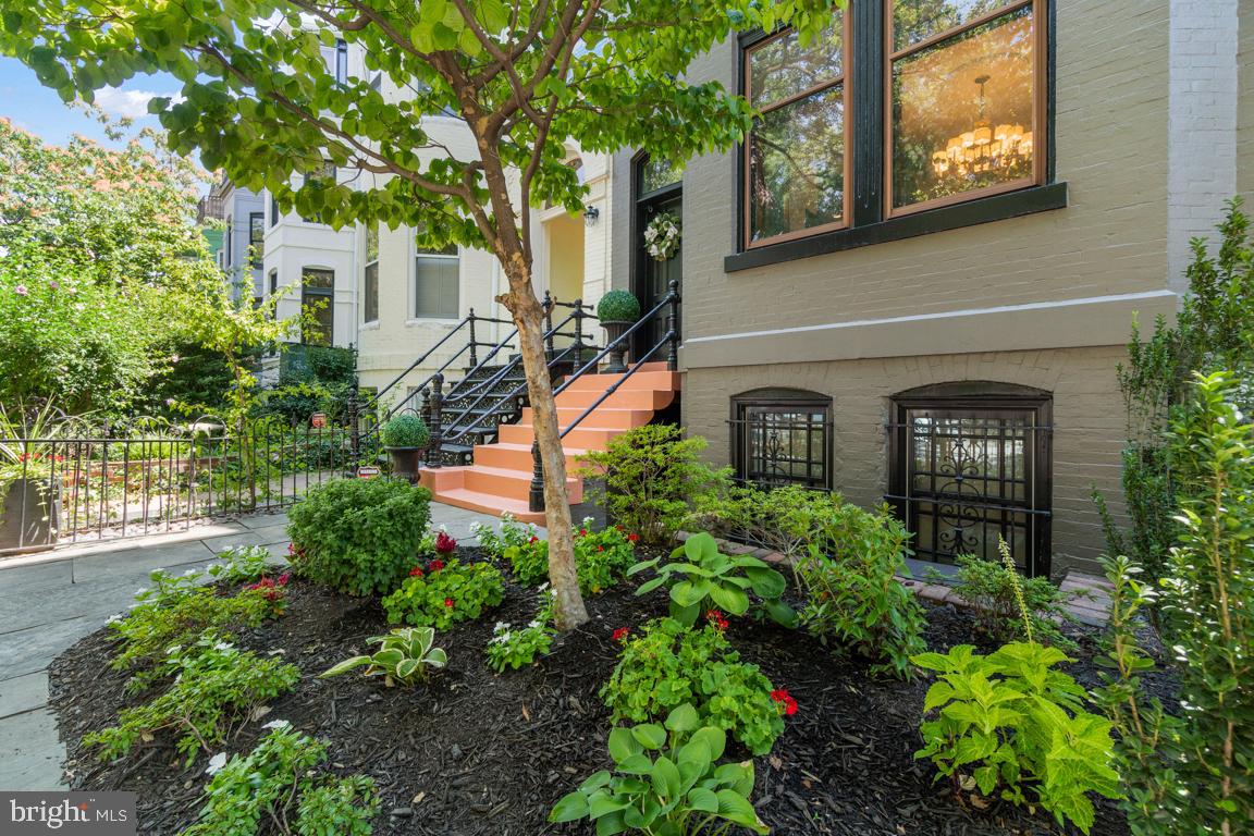 1512 P Street Northwest Washington, DC 20005 - Photo 3 of 50 Front garden