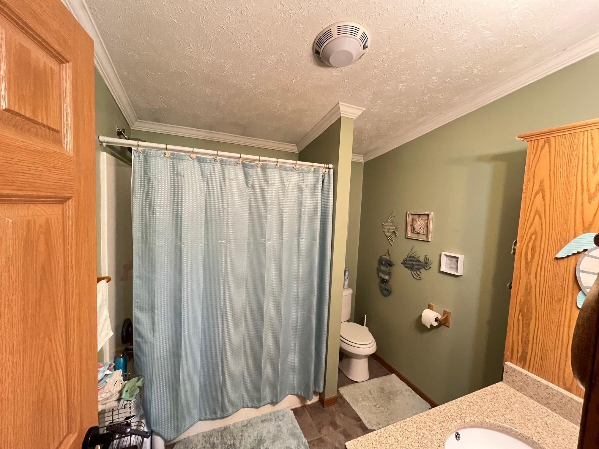 9342 South Fordyce Road Shepherd, MI 48883 - Photo 12 of 22