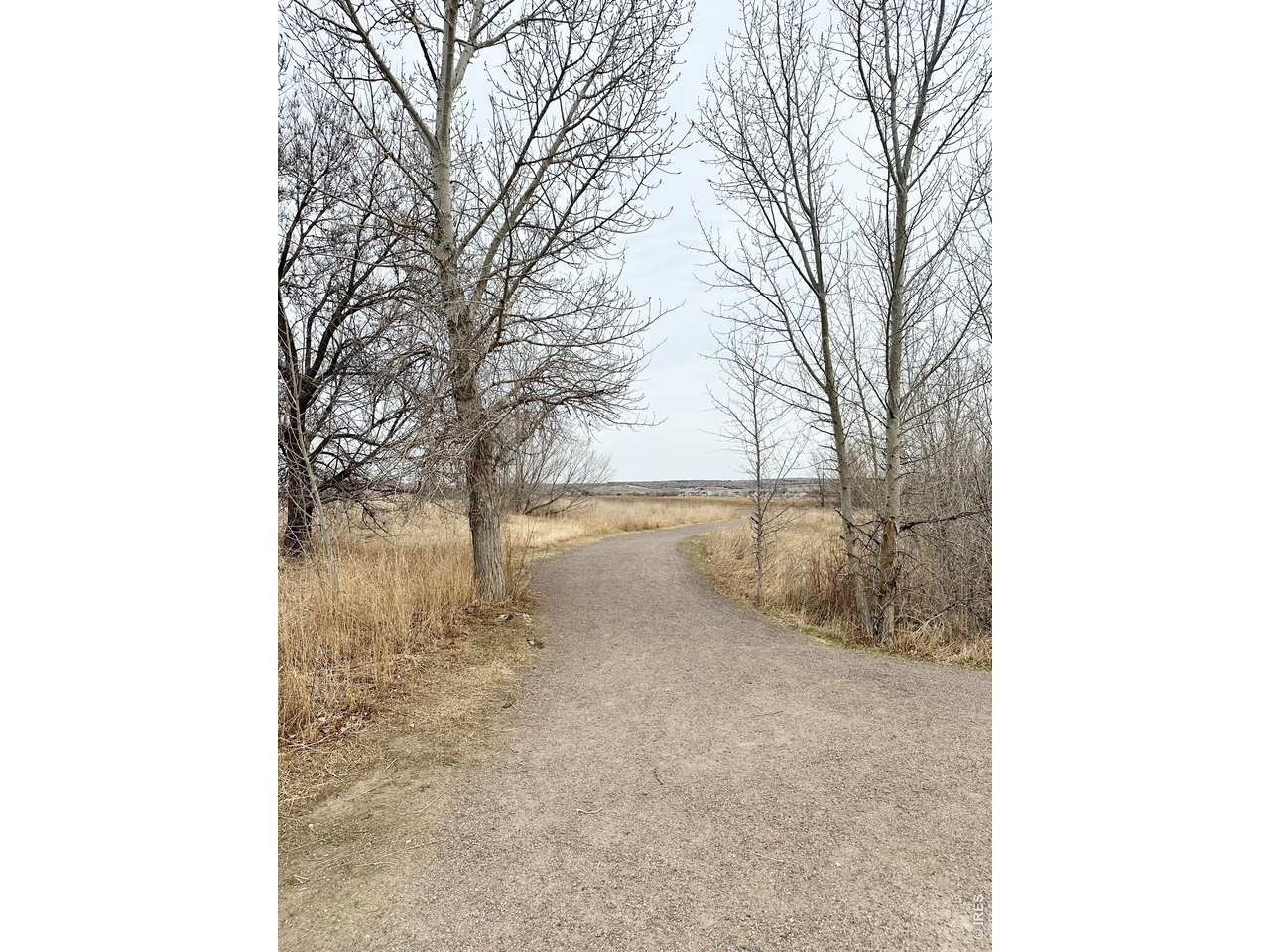 636 Wild Ridge Circle Lafayette, CO 80026 - Photo 25 of 40 ...and trails