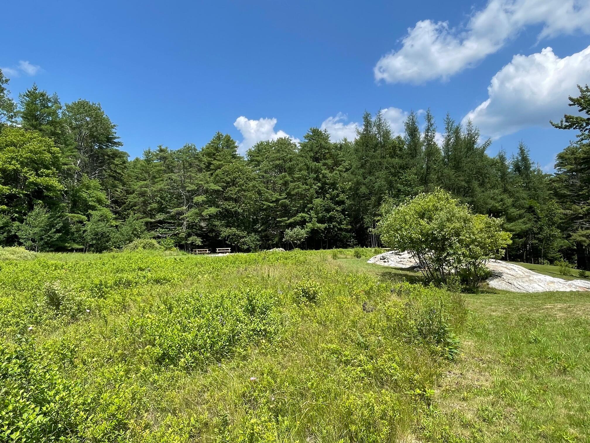 Lot 13 Pleasant Hill Road Brunswick, ME 04011 - Photo 14 of 29 IMG_8910