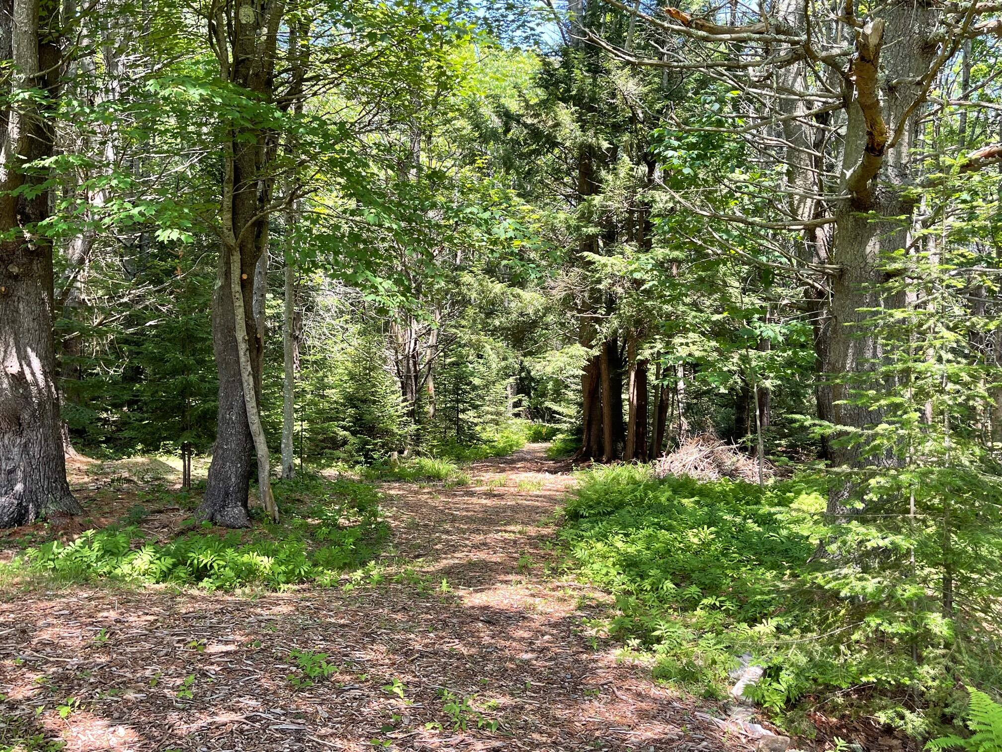 Lot 13 Pleasant Hill Road Brunswick, ME 04011 - Photo 18 of 29 IMG_8920