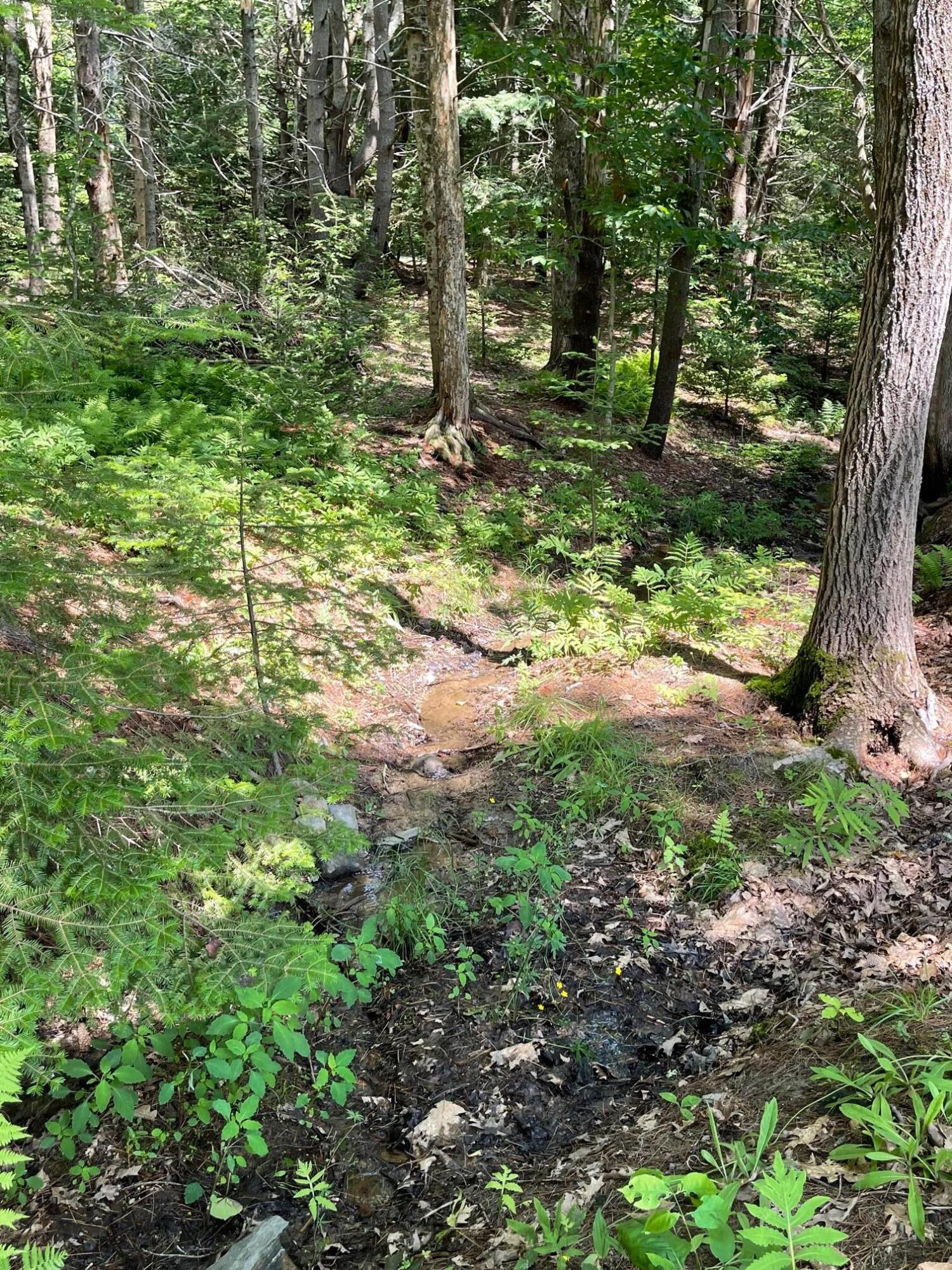 Lot 13 Pleasant Hill Road Brunswick, ME 04011 - Photo 19 of 29 IMG_8922