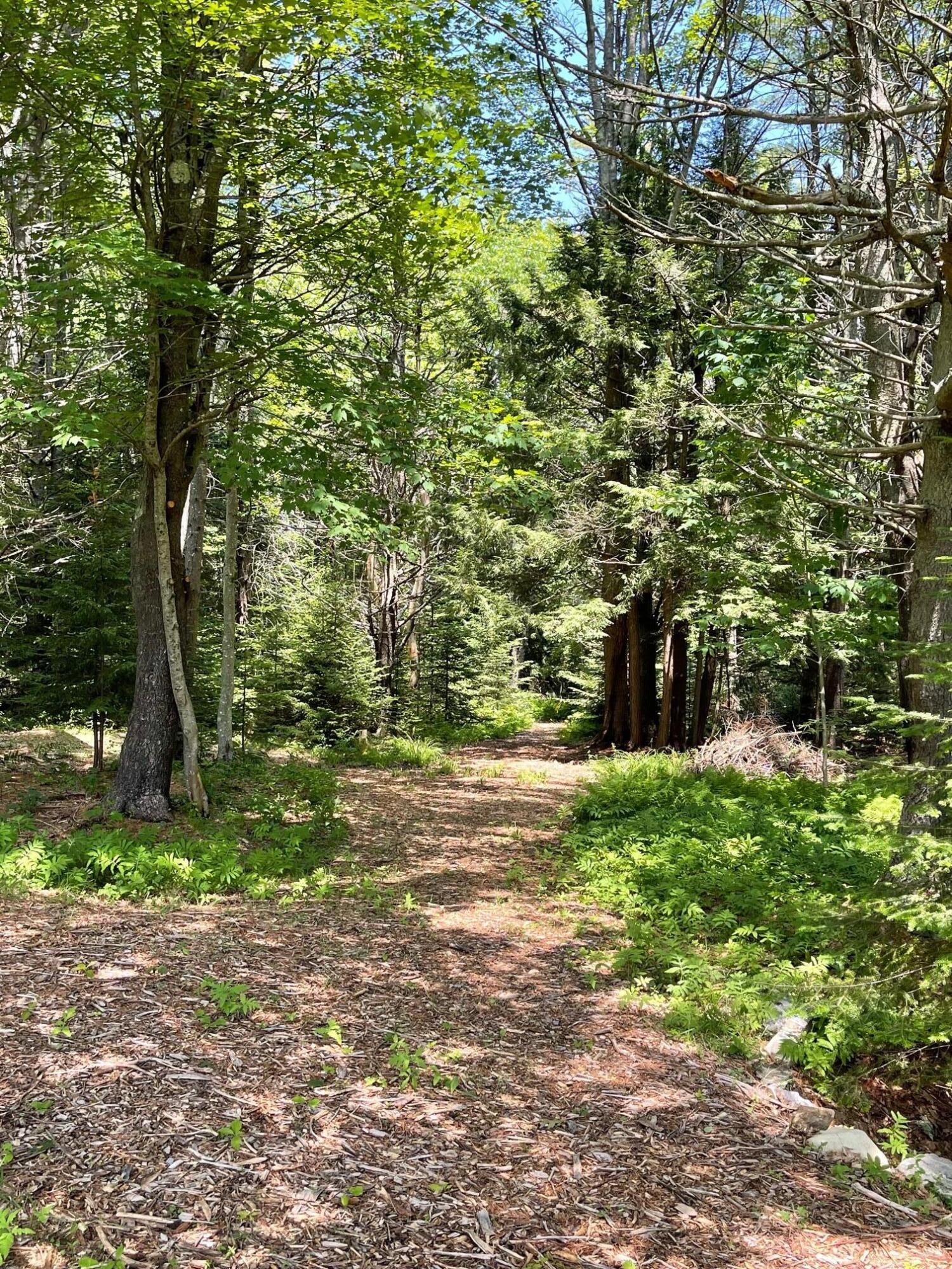 Lot 13 Pleasant Hill Road Brunswick, ME 04011 - Photo 20 of 29 IMG_8921