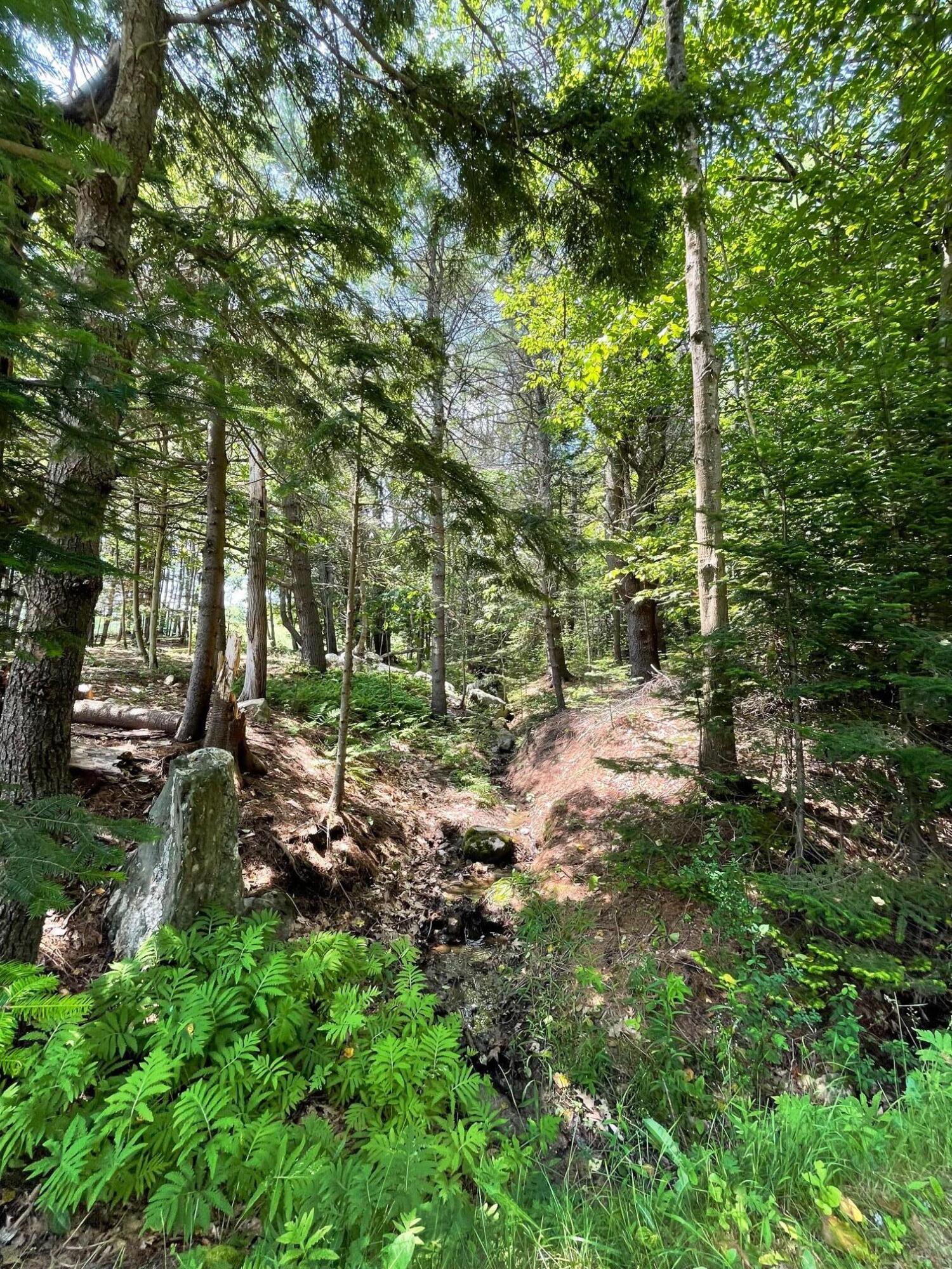 Lot 13 Pleasant Hill Road Brunswick, ME 04011 - Photo 21 of 29 IMG_8934