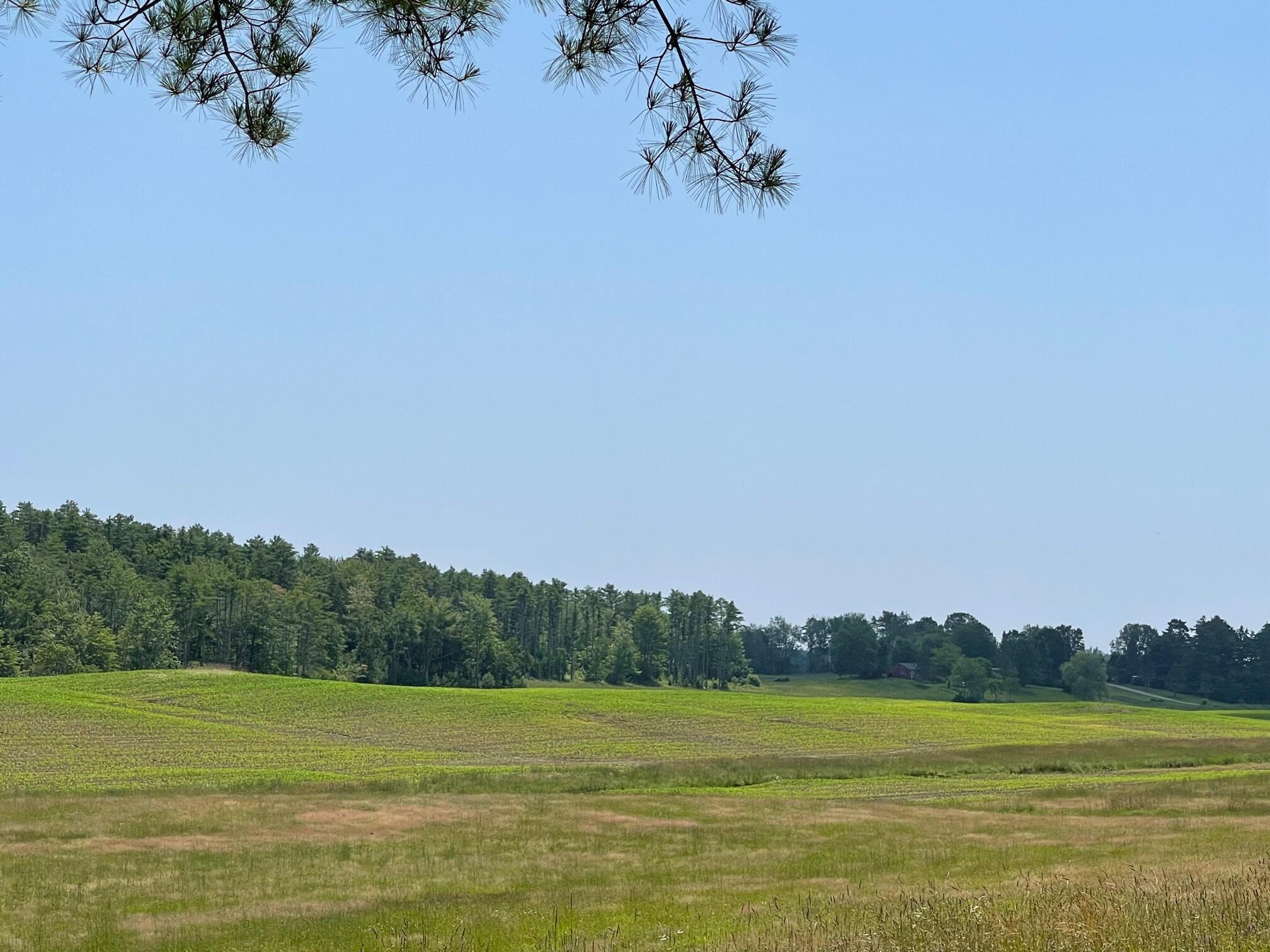 Lot 13 Pleasant Hill Road Brunswick, ME 04011 - Photo 23 of 29 IMG_8904