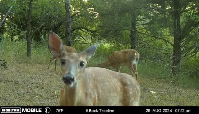 $738,750 | 0 West 271st Street, Paola, KS 66071