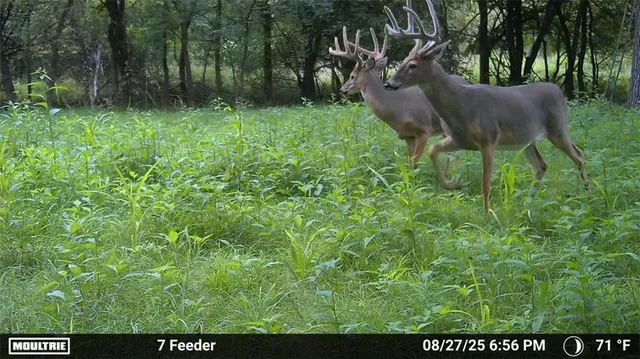 $738,750 | 0 West 271st Street, Paola, KS 66071