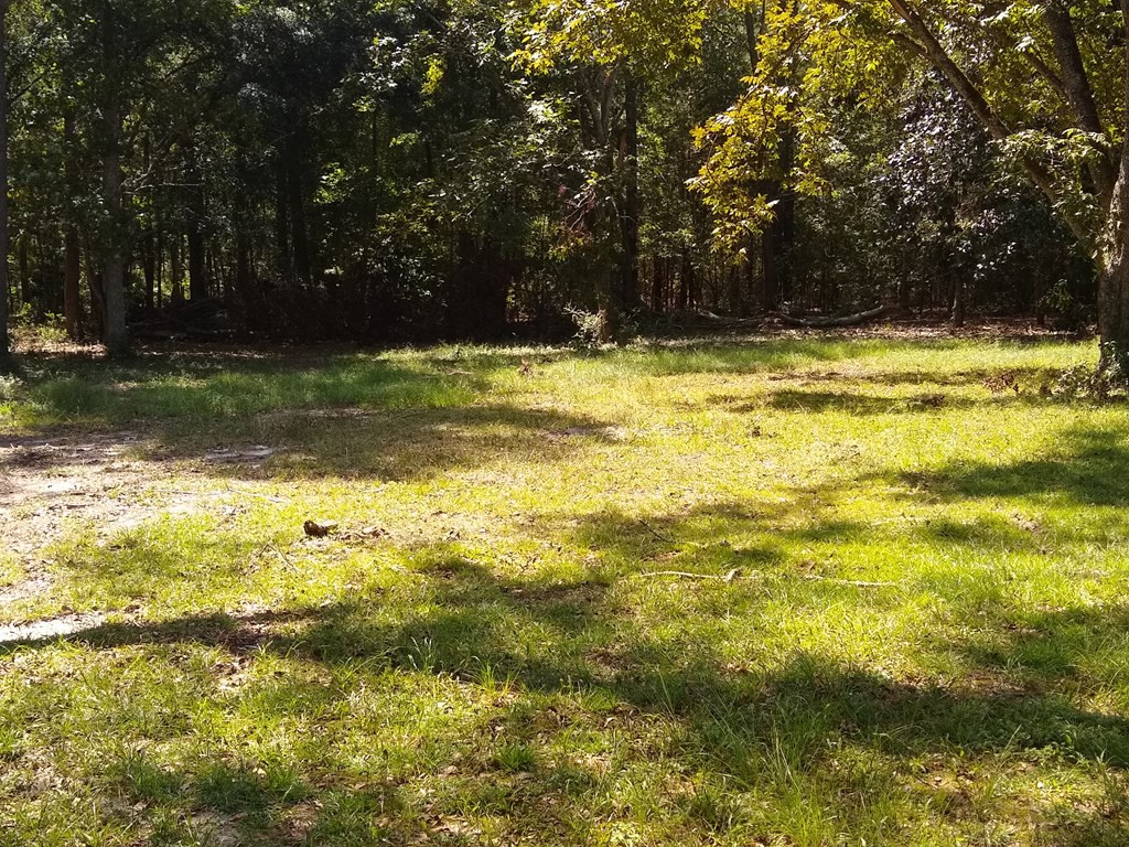 3371 Norway Road Neeses, SC 29107 - Photo 10 of 14 Back Yard